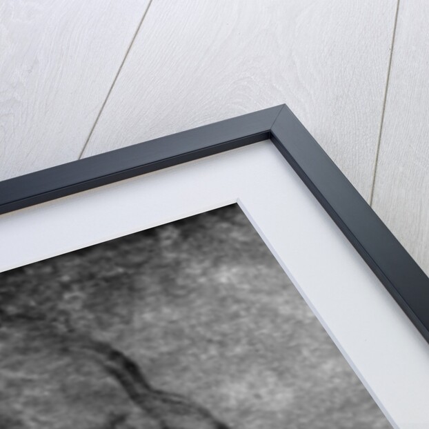 The head of a young woman by Lorenzo di Credi