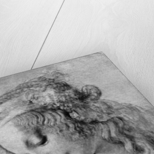 The head of the Madonna, 15th centuy by Andrea del Verrocchio