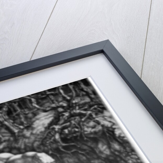 Perseus by William EC Morgan