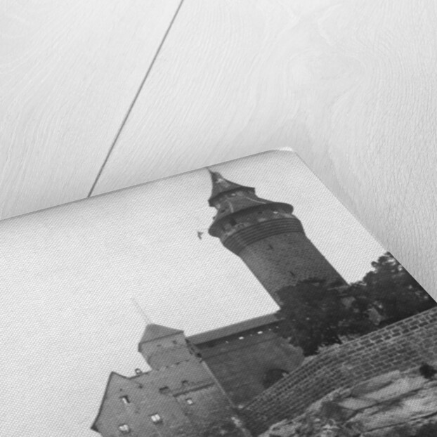 Bergfreund, Nuremberg, Bavaria, Germany by Wurthle & Sons