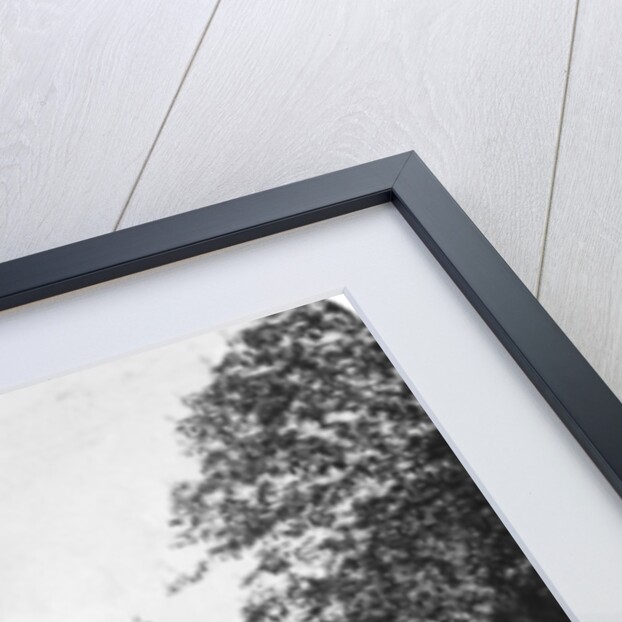 Fountain, Munich, Germany by Wurthle & Sons