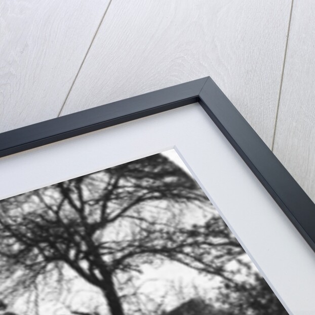 Nonnberg Abbey, Salzburg, Austria by Wurthle & Sons