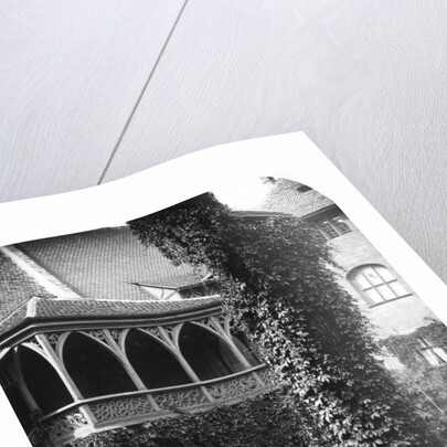 Lime tree in a courtyard, Nuremberg, Bavaria, Germany by Wurthle & Sons