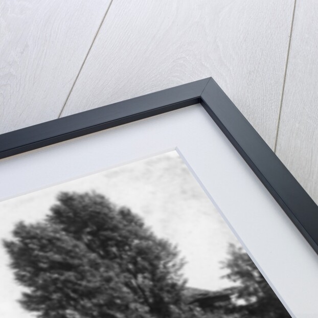 Henkersteg (The Hangman's Bridge), Nuremberg, Bavaria, Germany by Wurthle & Sons