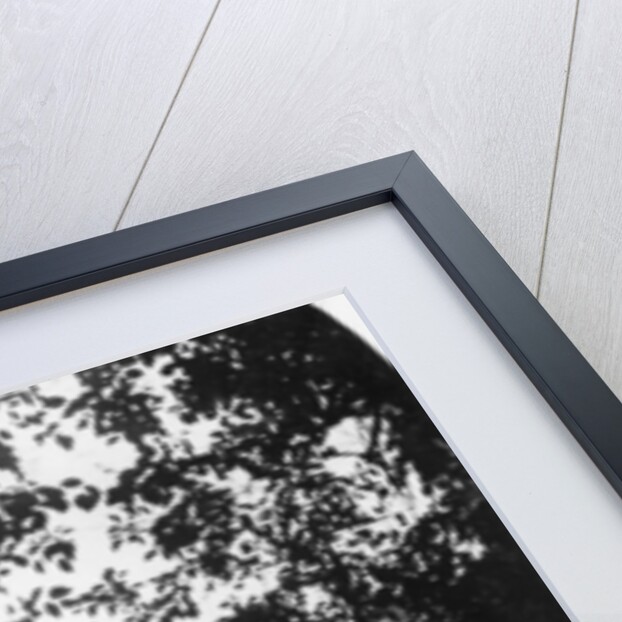 Stadtgraben, Bavaria, Germany by Wurthle & Sons