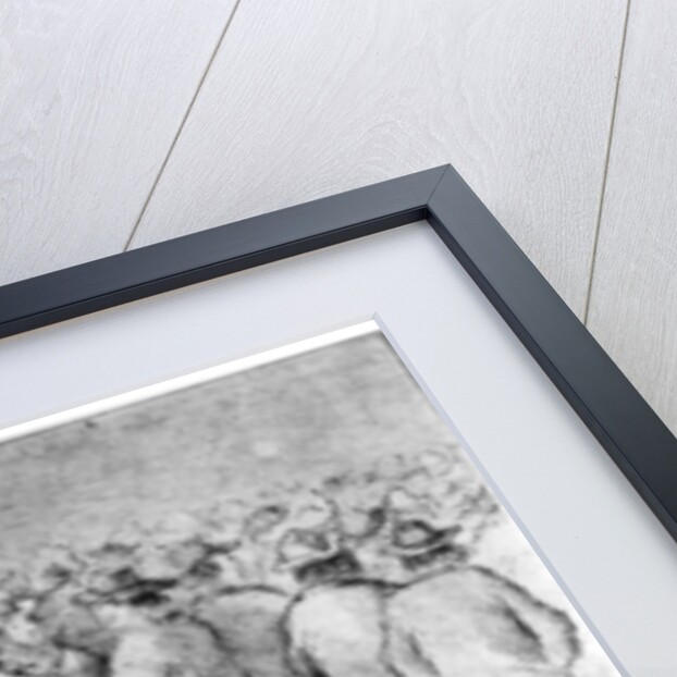 Gambling in the mines, Monte, California by Britton & Rey