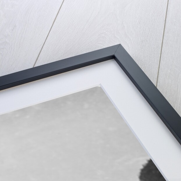 Landro and Monte Cristallo, Tyrol, Italy by Wurthle & Sons