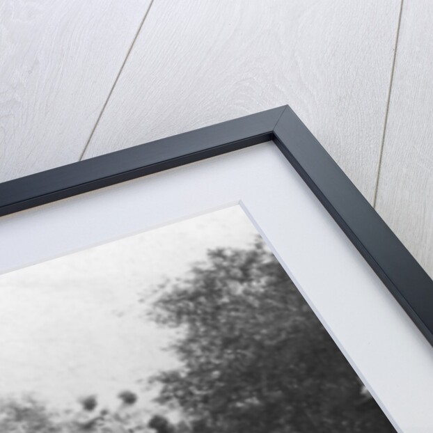 A Punjabi princess riding an elephant in a procession, Delhi, India by H Hands & Son