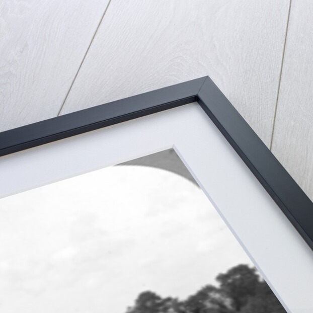 General Rimington, Sir Pertab Singh and the Rajah of Rutlam, France by Crown