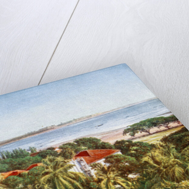 A view from the Ridge, Bombay, India by Anonymous