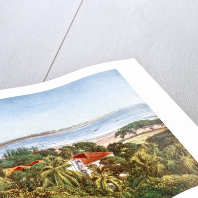 A view from the Ridge, Bombay, India by Anonymous