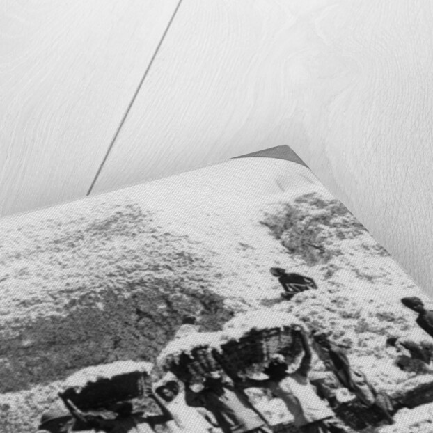 Men carrying baskets of cotton at an Indore cotton mill, India by Anonymous