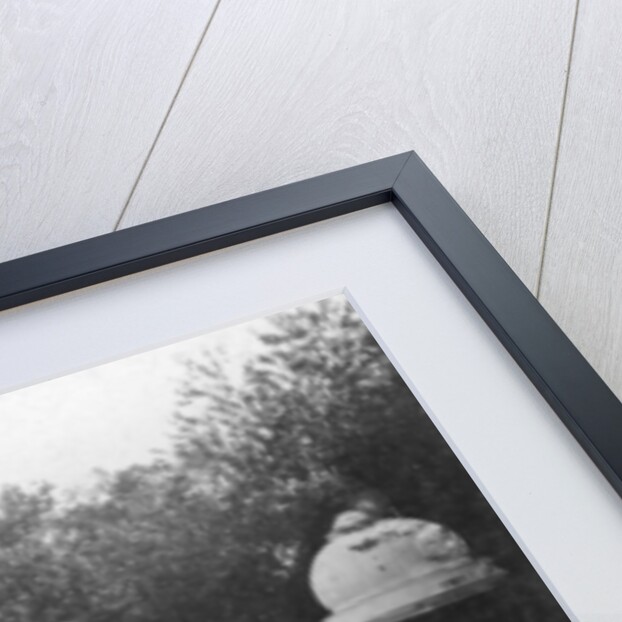 A Punjabi princess in an elephant procession, Delhi, India by H Hands & Son