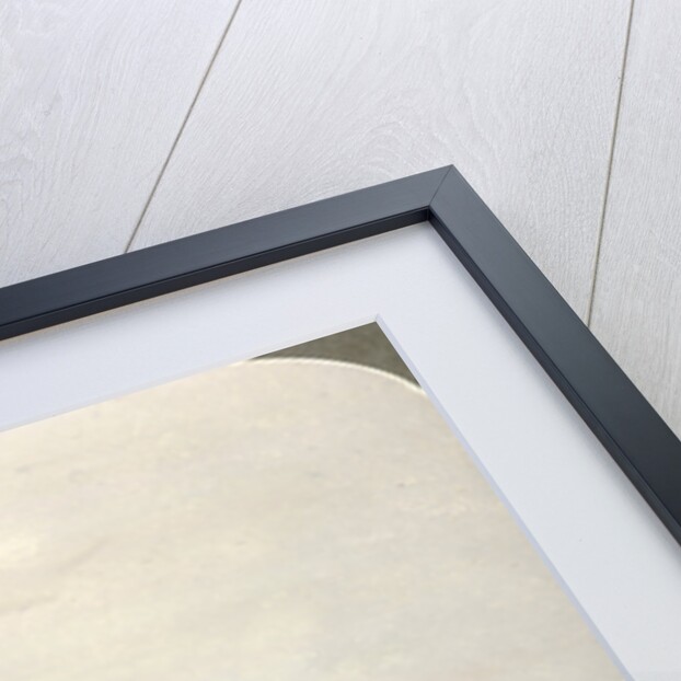 Receiving the colours inside the square, India by Underwood & Underwood