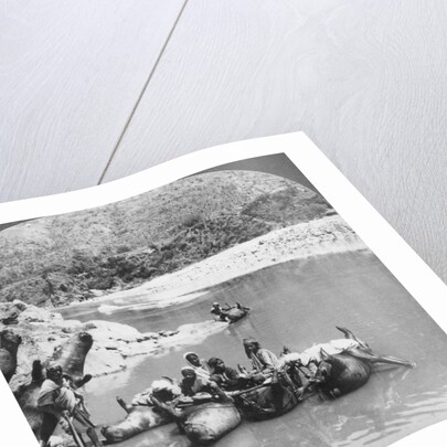 Inflated bullock skins used as ferry boats on the Sutlej River, Punjab, India by Anonymous