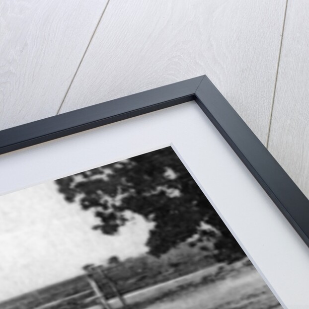 Three men playing cards, Uruguay by Anonymous