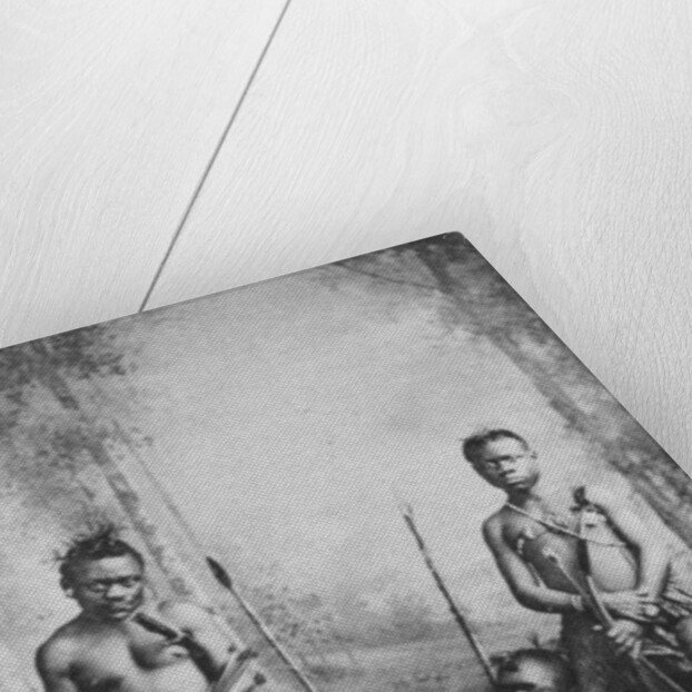 Pigmies by W&D Downey