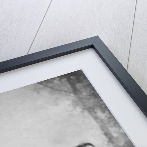 Pigmies by W&D Downey