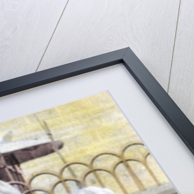 A porter, Mexico by Anonymous