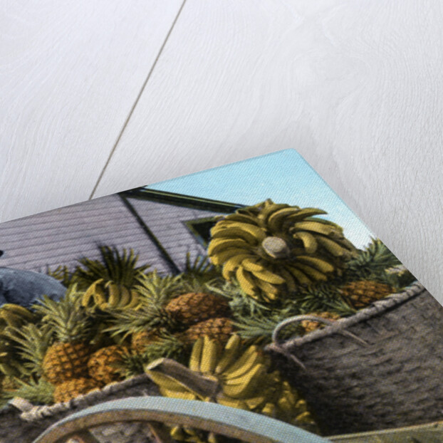 A fruit trader, Taboga Island, Panama by Anonymous