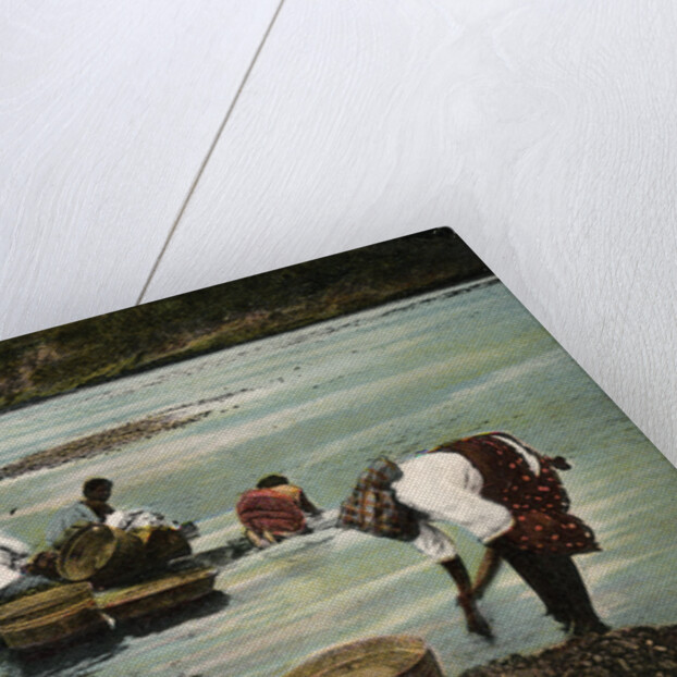 Washerwomen, Charges River, Panama by Anonymous