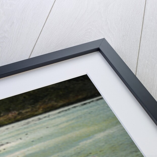 Washerwomen, Charges River, Panama by Anonymous