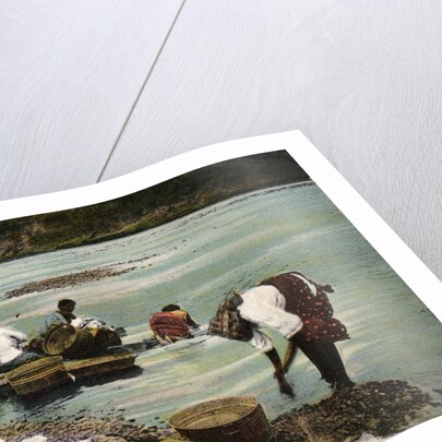 Washerwomen, Charges River, Panama by Anonymous