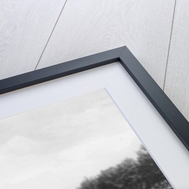 College barges on the River Isis, Oxford by C Richter