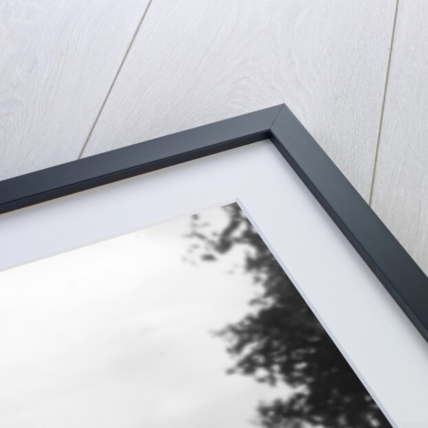 Buckfast Abbey, Buckfastleigh, Devon by Anonymous