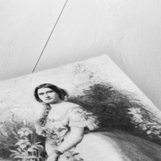 Harriet Lane (1830-1903) by Anonymous