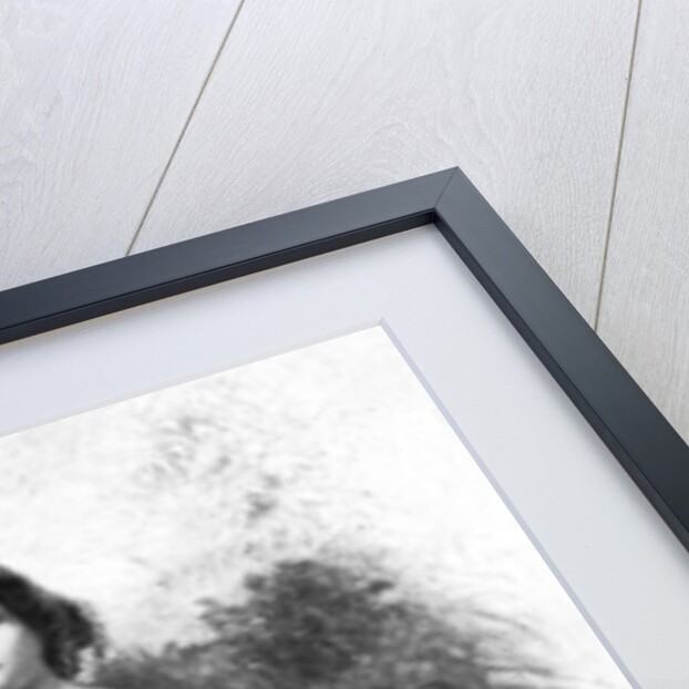 Harriet Lane (1830-1903) by Anonymous