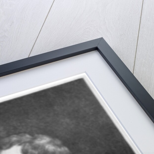 Zachary Taylor, American military leader and politician by Anonymous