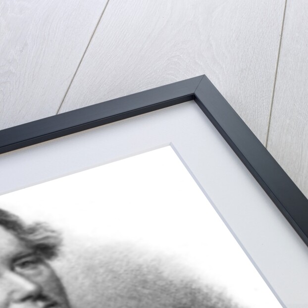 Millard Fillmore, American politician by Anonymous