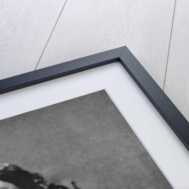 Mary Todd Lincoln, wife of President Abraham Lincoln by Anonymous