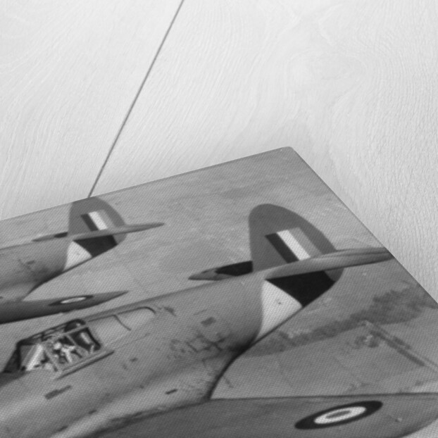 Curtiss P-40 Pursuit Fighter Planes by Anonymous