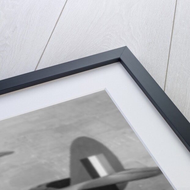 Curtiss P-40 Pursuit Fighter Planes by Anonymous