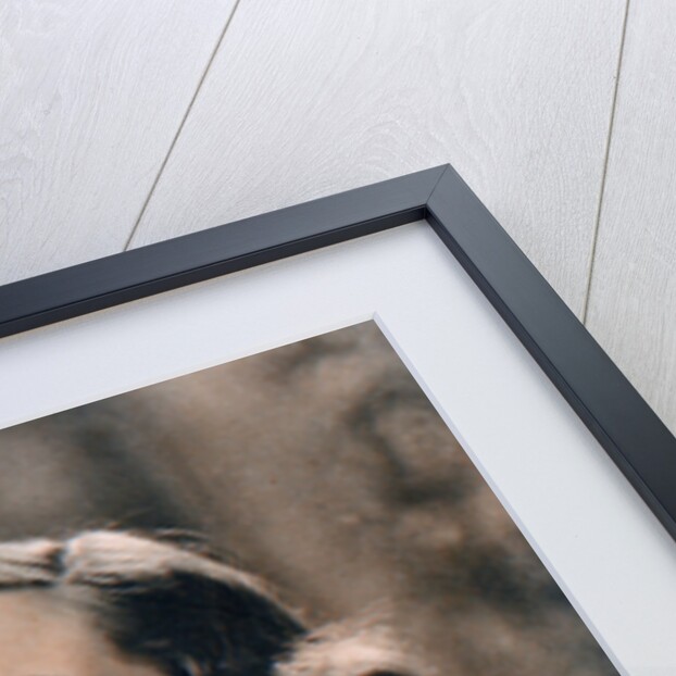 Joan Crawford (1905-1977), American actress by Anonymous