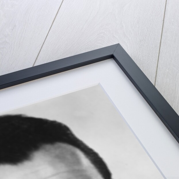 Frank Sinatra (1915-1998), American singer and actor by Anonymous