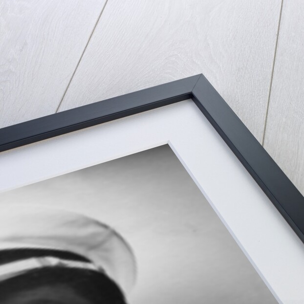 Robert Taylor (1911-1969), American actor by Anonymous