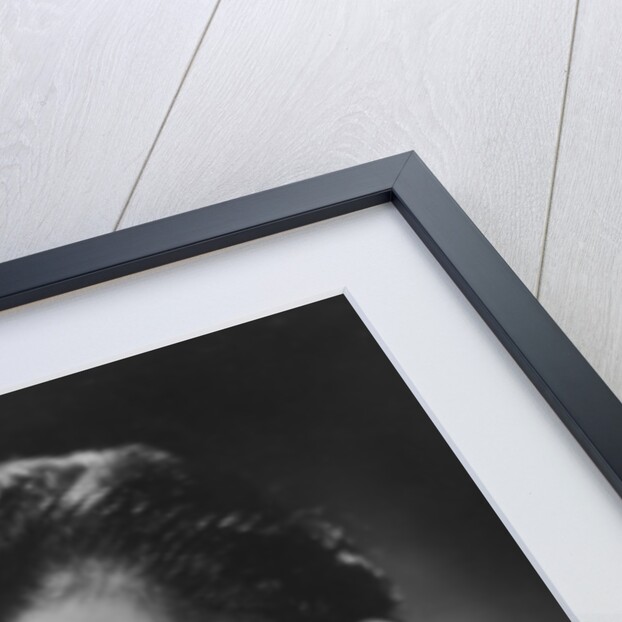 Dirk Bogarde (1921-1999), English actor by Anonymous