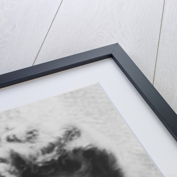 Shirley Temple (b1928), American actress by Anonymous