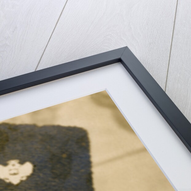 Rudolph Valentino (1895-1926), Italian actor by Anonymous