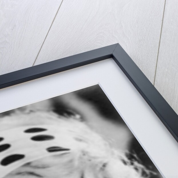 Joan Blondell (1906-1979), American actress by Anonymous