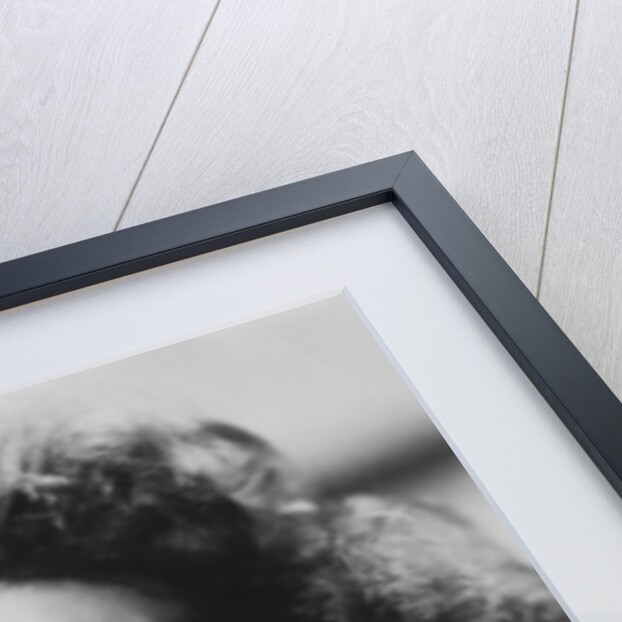 Katharine Hepburn (1907-2003), American actress by Anonymous