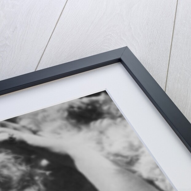 Greer Garson (1904-1996), English actress by Anonymous