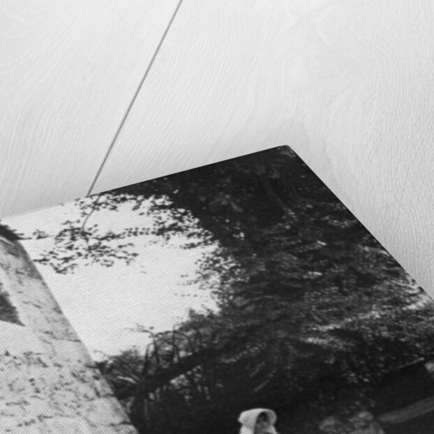 Old well, Jersey by Deaville Walker