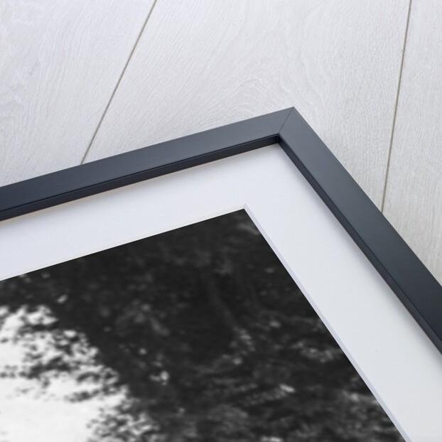 Old well, Jersey by Deaville Walker