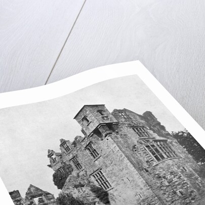 Donegal Castle, Ireland by W Lawrence