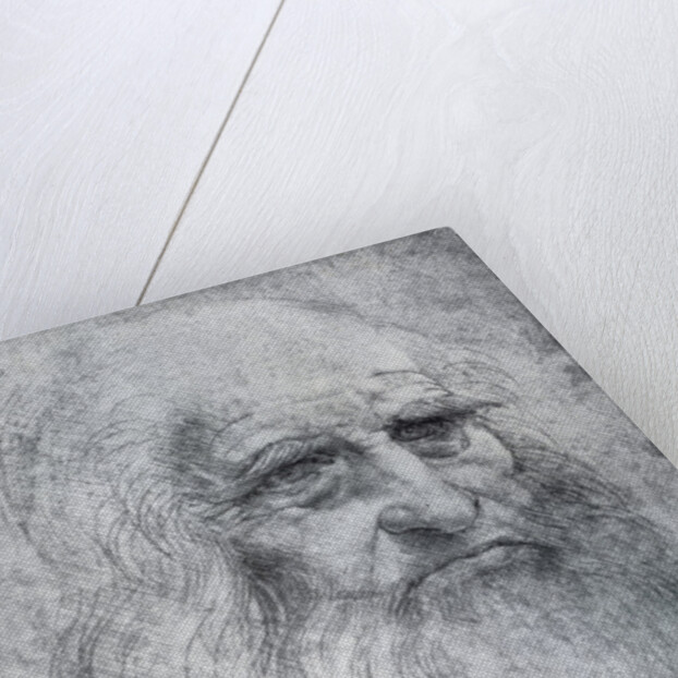 Self Portrait of Leonardo da Vinci by Leonardo Da Vinci