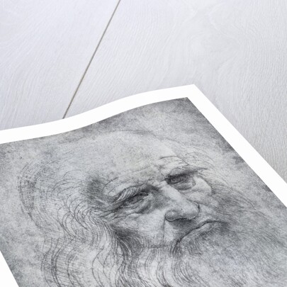 Self Portrait of Leonardo da Vinci by Leonardo Da Vinci